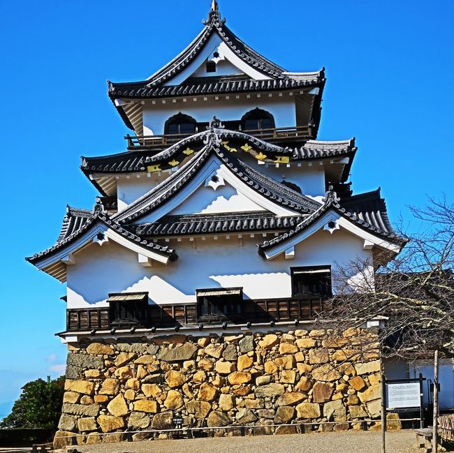 彦根 5 彦根城 天守など国宝 外観と周囲景観 3層3階等の複合式望楼型 彦根 滋賀県 の旅行記 ブログ By マキタン２さん フォートラベル