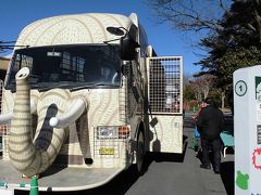 富士サファリパーク
車で行くのが普通だが、バスでも御殿場駅から日に数本行っている。
動物型の折り付きバスに乗って、動物園の中へ。