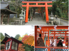 ランチ後は、近くなので吉田神社をさくっと参拝。

こちら京大生には馴染みの神社ですよね。

ちょうど結婚式を挙げていました。お幸せに！