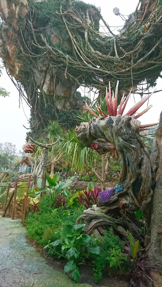 映画 アバター の美しすぎる世界 ディズニーワールド 9日間 フロリダ オーランド アメリカ の旅行記 ブログ By ぽっつさん フォートラベル