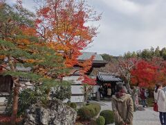 紅葉の名所、圓光寺は激混みです
でも、ちょうど見ごろですね