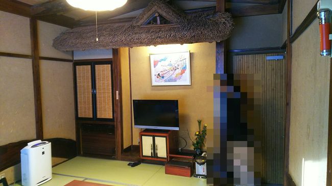 二人で過ごすには、調度良い広さ。座椅子のクッションがフカフカで、座り心地が良かった！