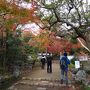 紅葉の京都、なるべく人混みを避けて2