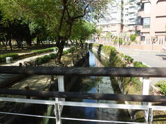 原生植物園に沿って流れる小川、私の好きな光景です