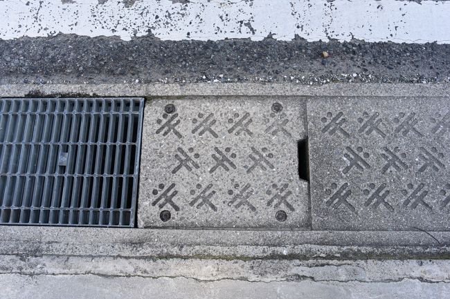 側溝のコンクリート蓋にも赤とんぼ。