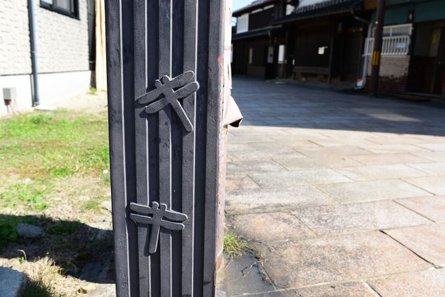 街灯のポールに赤とんぼが止まっています。