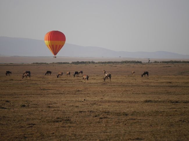 Amazon.com: Solo Traveller s Diary Self-drive Trip in Kenya