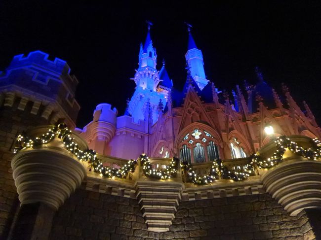 初東京の孫と東京観光 ３日目 Part2 東京ディズニーランド 午後の部 東京ディズニーリゾート 千葉県 の旅行記 ブログ By Nanakoさん フォートラベル
