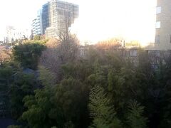 東京２日目の朝。天気もよく、気分爽快です。
