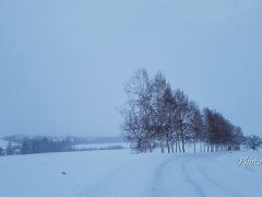 マイルドセブンの丘
駐車場は除雪されておらず・・・(笑)
雪が降っているから暗い