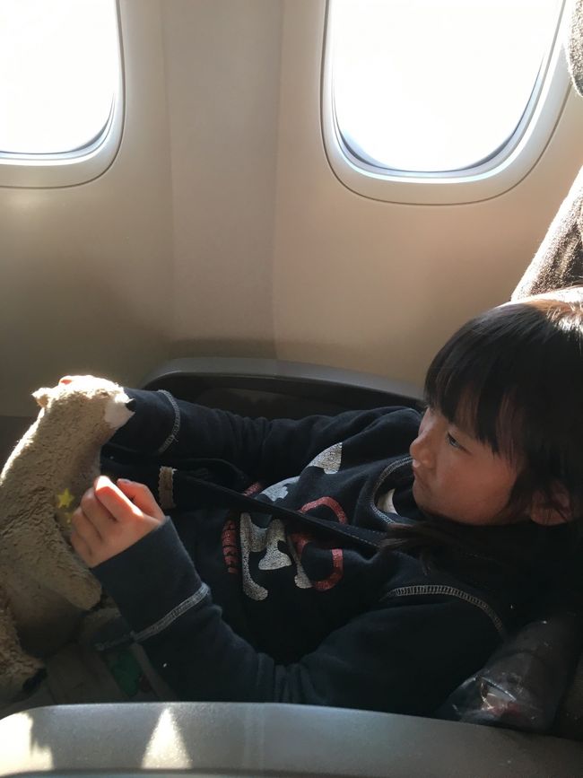 ガルーダインドネシアの直行便を利用しました。<br />エコノミーですが、シートピッチは広い感じ。エンタメは日本発着便の割には、日本語対応が少ない感じがしました。機内食は、ま〜普通。