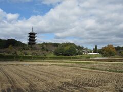 　總社から約4kmで、吉備路のシンボルになっている備中国分寺の五重塔に到着。
　丘陵地のほぼ中心部に位置し、菜の花、桜、レンゲ、コスモス、ススキなど季節ごとの風景が織りなす美しさを楽しめるはずです。