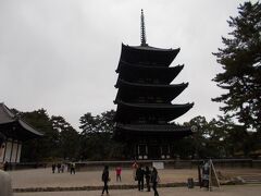 55年ぶりに興福寺へ
飛鳥の香りがする5重の塔
何回も焼けて再建、「現在の建物は1426年頃に再建されました。興福寺は平安時代には春日社の実権を手中におさめ、大和国を領するほどになり、また、鎌倉・室町時代には幕府は大和国に守護を置かず、興福寺がその任に当たりました。」（興福寺のホームページ）