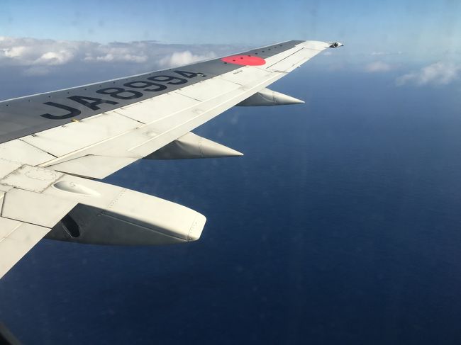 日本トランスオーシャンで那覇を目指す。<br />今回はジンベイジェットではなく、ちょっと残念。