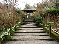 浄智寺から歩いて10分のところにある明月院へやってきました。あじさい寺として知られ、夏には多くの観光客が訪れますが、冬の観光客はわずかです。