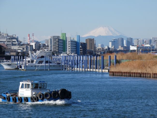 千葉と東京のウオーターフロント旧江戸川を歩く。』浦安(千葉県