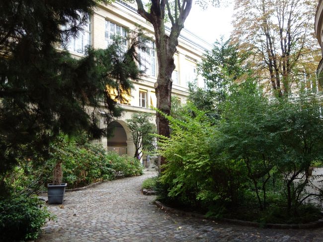 パリ第6大学の中。日本の大学でこのようなところはあるのだろうかというぐらい、瀟洒だ。脳内が洗われる感じがする。