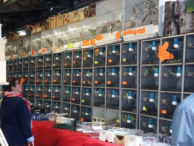 ノートルダム大聖堂の近くの広場にあった鳥を売っている店。インコばかりである。どうやったらこんな一等地にこんなアバウトな店が出せるのだろうか。