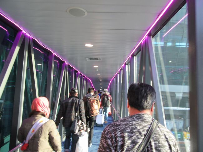 通路です。なぜに？紫？？？<br />ターミナル３　仕上がってますよー。