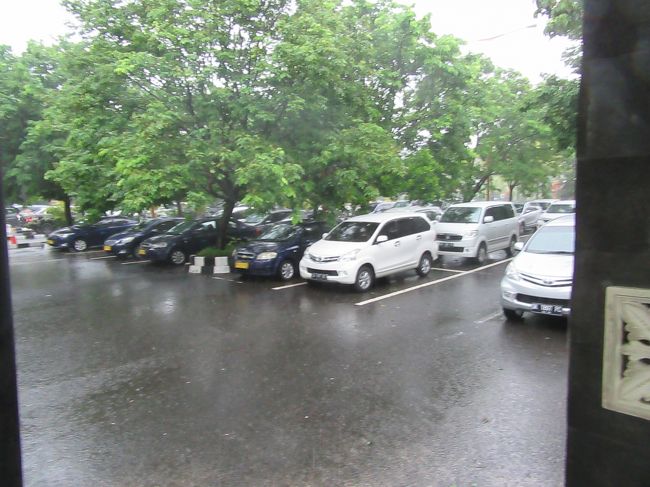 こんな大降りの中、空港外まで歩いて<br />ブルーバードタクシーを拾うなんてことは<br />日本人観光客には無理です。