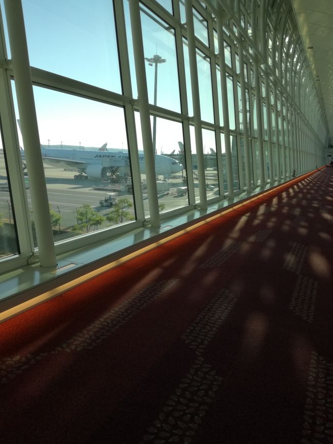羽田空港も長い通路を抜けてイミグレーションに到達です。<br />ただ、税関を抜けてから電車へのアクセスがめっちゃいいです。<br />