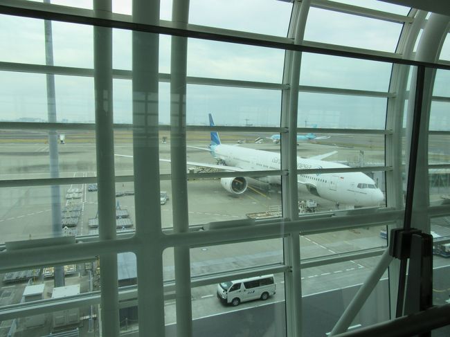 GarudaIndonesia機が見えました。(^^)/<br />