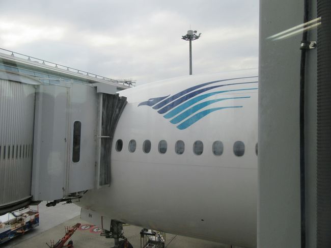 これこれ！！大好きロゴ　<br />ビシュヌ神の乗り物　Garuda