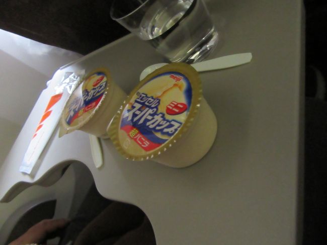 〆はアイスクリームね。<br />ジャカルタ線もスーパーカップになってしまったのですね・・・涙<br />