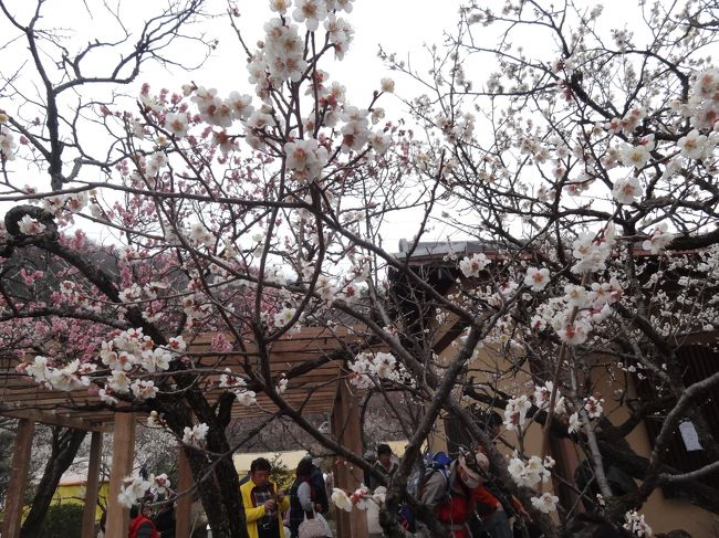 人もたくさん。