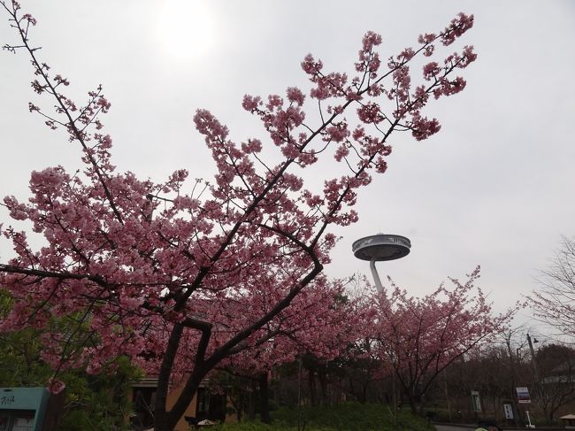 回るアトラクションも写ったよ。