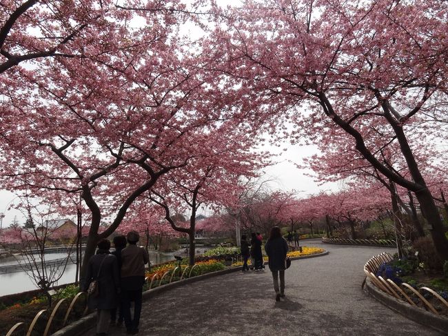 なばなのさと、すごいよねー