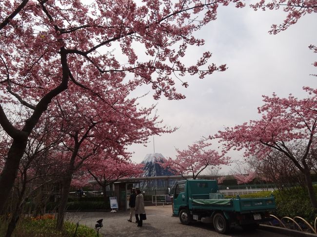 経営努力がすごいー