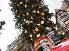 クリスマス・マーケット

クレベール広場のツリー