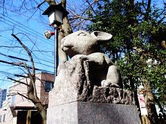 狛犬ならぬ、狛兎。

ウサギ神社で密かに有名な、調(ツキ)神社にやってまいりました。