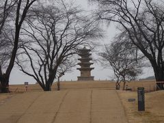 ここは、王宮里遺跡。お寺と王宮があったと思われます。ここにも石塔がありました。日本語のできるガイドさんもいて、いろいろ説明してくれました。