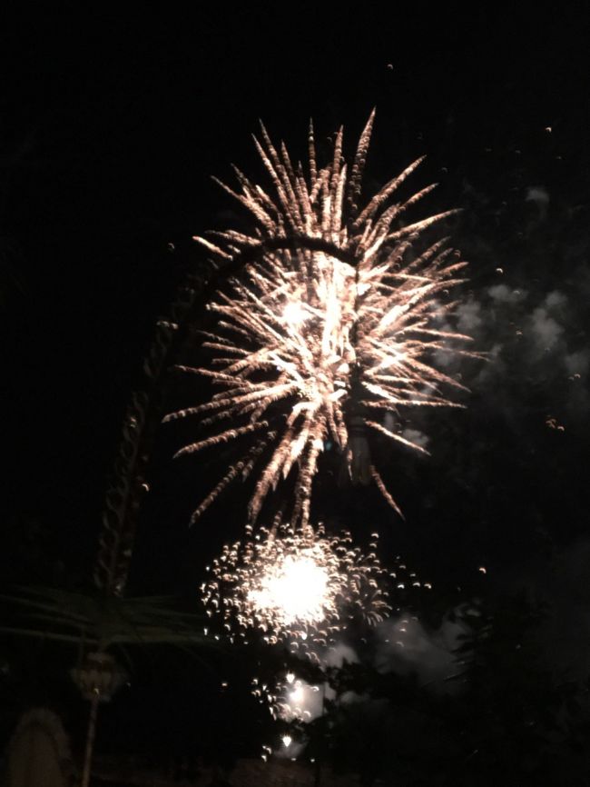 年越しの瞬間花火があちこちで上がって、いい感じです。これだから、年越し海外はやめられない。