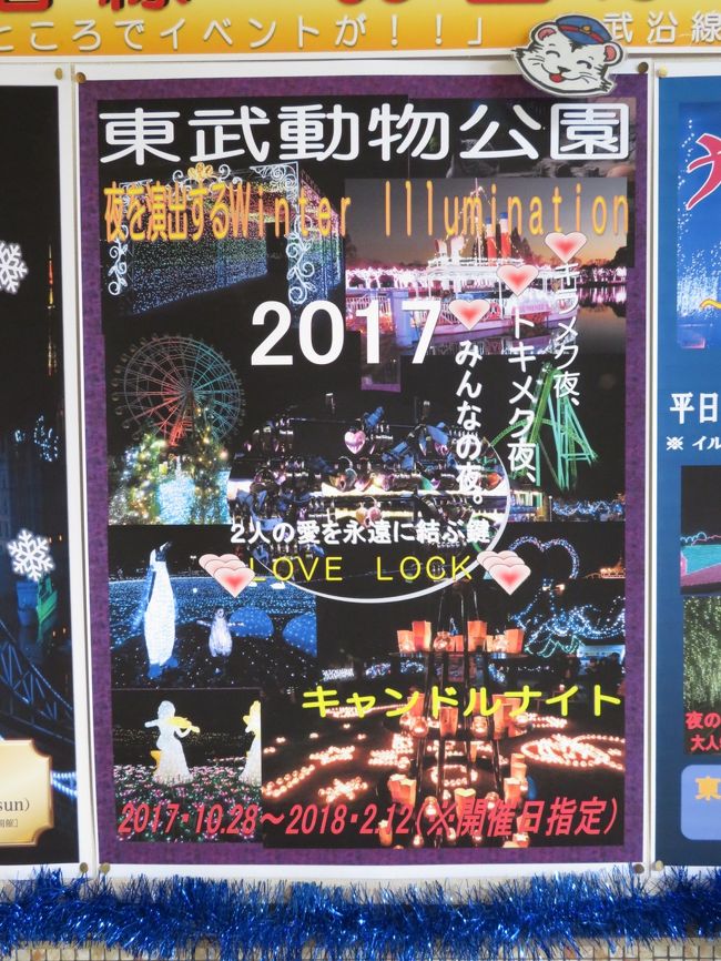 新春18年の動物園初詣は東武動物公園とイルミネーション ３ 朝の青空の遊園地エリアに始まり イルミネーション できらきらのハートフルガーデンのフラワー絨毯に感動したウインターイルミネーション 蓮田 白岡 埼玉県 の旅行記 ブログ By まみさん フォートラベル