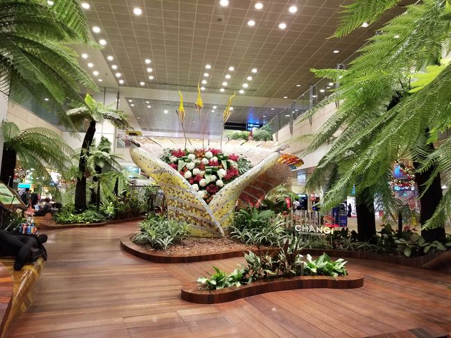 シンガポール チャンギ国際空港へ到着。<br />スクートスルーサービスを利用しているので、入国審査をする必要がありません。<br />このまま搭乗口付近で待っていれば良いのです。<br /><br />ターミナル2に到着しましたが、バンコク行きもターミナル2なので、面倒な移動はありません。<br /><br />今回は行きだけチャンギ国際空港利用なので、「チャンギダラーバウチャー」は貰えません。残念！<br />