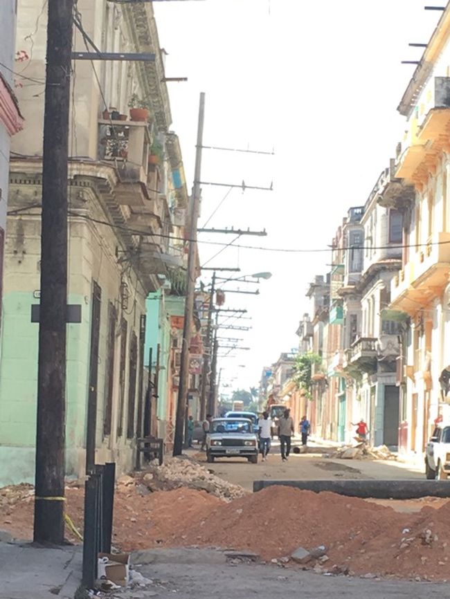 掘り起こしてるね。