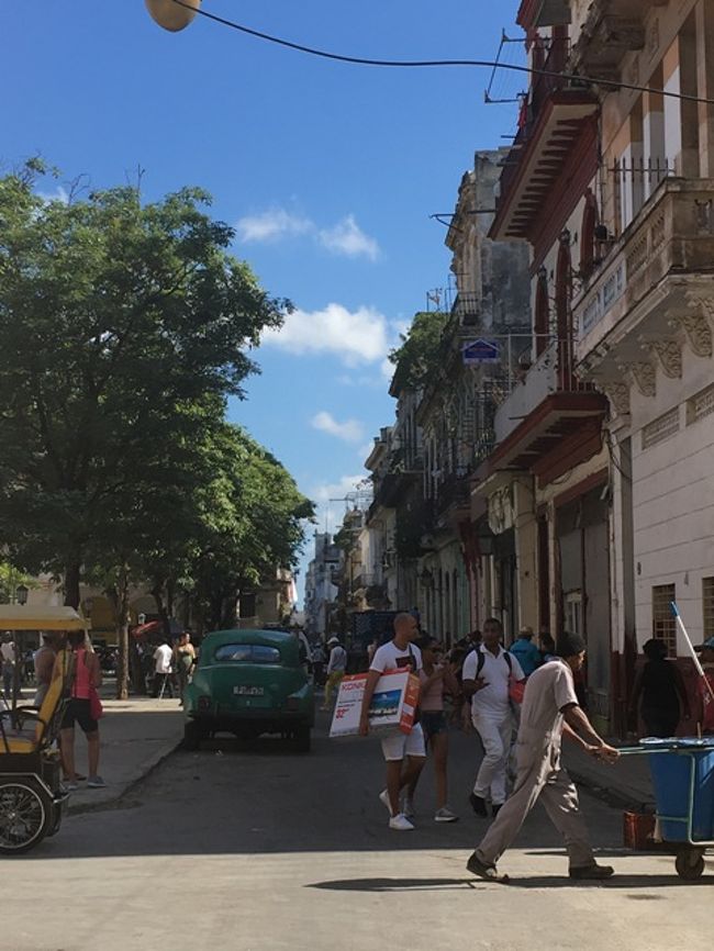 ブラジル通りを歩いて歩いて…