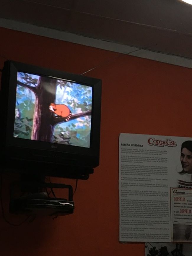 狭い外国人用の店内は、エアコンが効いていて、テレビではラスカル第1話が！