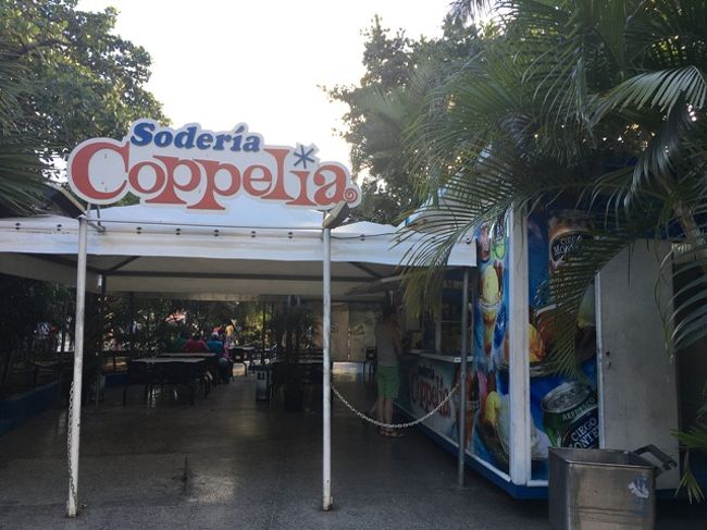 帰り際に、見つけた外国人用テラス席。<br />ただ、こっちは１種類のみ？（見た感じ、そう見えた）のアイスを<br />パフェのように盛り付けるスタイルっぽい。<br />アイスの種類も、私たちの行った場所とは違って、<br />バニラとチョコだけに限られていたっぽい。