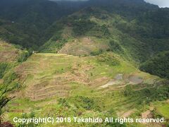 バナウェ・ビューポイント(Banaue View Point)

低い山は山頂まで棚田が設けられています。