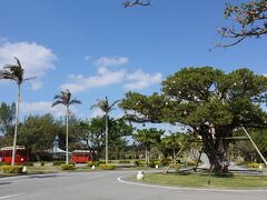 朝食後ブセナリゾートまで。
車で３５分程度で到着します。