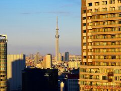そして夕日に輝く東京スカイツリー（http://www.tokyo-skytree.jp/）も遠方に見えます。