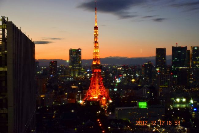 17 2大タワーと都内夜景が一望できる世界貿易センタービルシーサイドトップ 豊洲 東京 の旅行記 ブログ By Jh2fxvさん フォートラベル