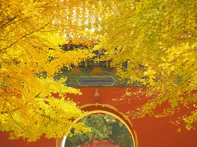 北京の銀杏を満喫する！！！』北京(中国)の旅行記・ブログ by