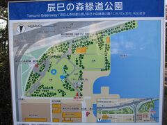 辰巳の森緑道公園は、辰巳運河に面した広い芝生広場がある開放的な公園です。
三連休の初日ですが、ほとんど人がいないのんびりとした空間でした。
