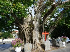 ガイドさんが細かく説明してくれましたが
あまり覚えていません