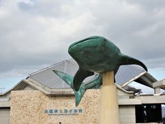 言わずと知れた美ら海水族館